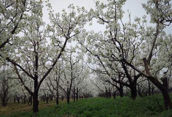 1522741896204831.jpg 2.jpg