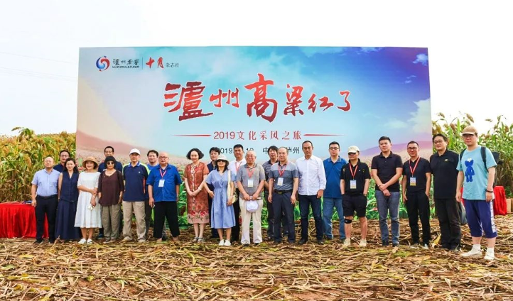 瀘州高粱紅了，遠方的客人來了 || 酒是高粱寫的詩（十） 